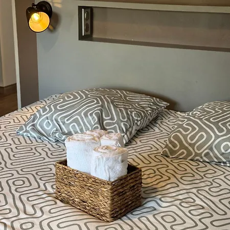 F3 Parking Gratuit Clim Port 5min Aéroport 10min Appartement *